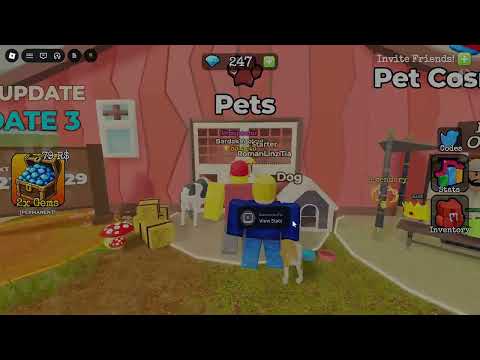 Pets sign on the red barn, doghouse, Dog companion and View Shop prompt; UPDATE 3 board is to the left and Pet Cosmetics is to the right